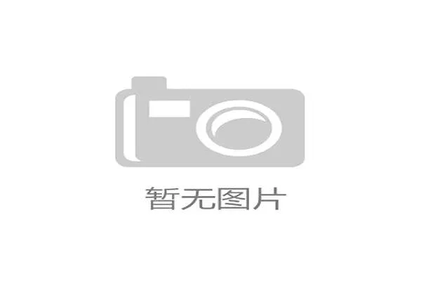德甲主教练如何带领球队突破困境重回巅峰分析与策略分享