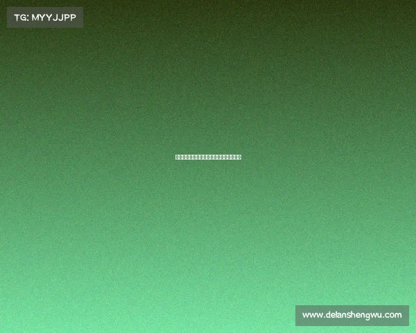 阵型调整对战术布局优化的影响与实践探讨