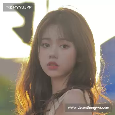 韦芝